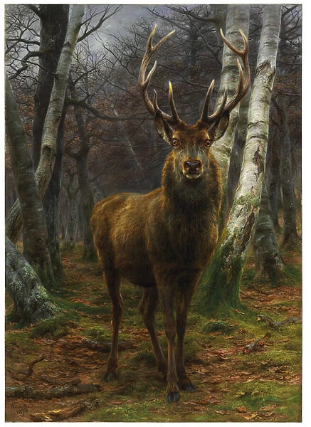 King of the Forest, 1878 (oil on canvas)
