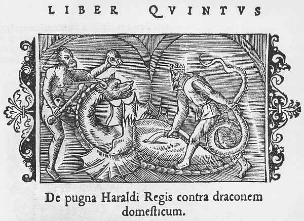 King Harald fighting a dragon, illustration from Historia de Gentibus Septentrionalibus by Olaus Magnus (1490-1558), published in Rome, 1555 (woodcut) (b  /  w photo)