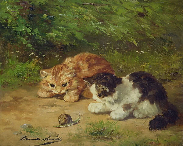 Kittens and snail