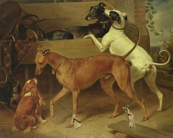 Kruger's Dogs, 1855 (oil on canvas)