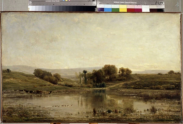 'L etang'(The pond) Peinture de Charles Francois Daubigny (1817-1878) 1858 Dim. 57. 5x93. 5 cm Musee de l ermitage, saint Petersbourg