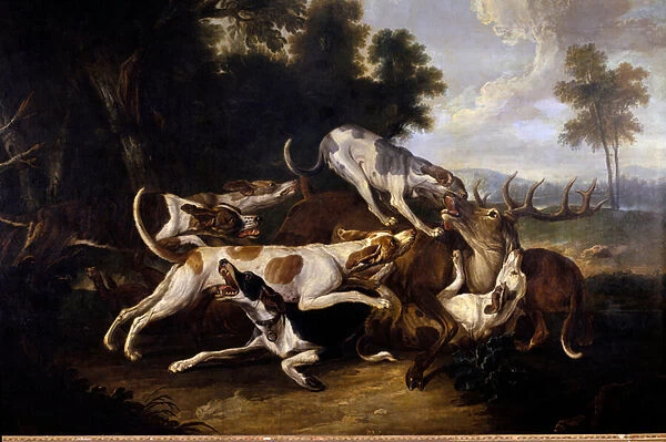 L hallali du deer Hunting dogs finishing a deer - Painting by Jean Baptiste Oudry (1686-1755) 18th century Sun 2, 35x3, 26 m Pau, Musee des Beaux Arts