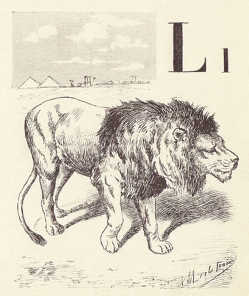 L for Lion, 1901 (illustration)