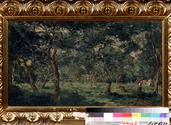 'L oliveraie'(Olive Orchard) Peinture de Charles Francois Daubigny (1817-1878) 1870-1873 Musee Pouchkine, Moscou