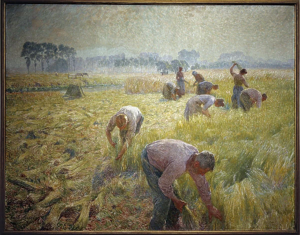 La collolte du linen Painting by Emile Claus (1849-1924) 1904 Sun