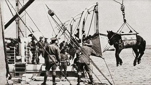 Landing horses and troops at Gallipoli during World War One, from The Pageant of the Century, pub.1934