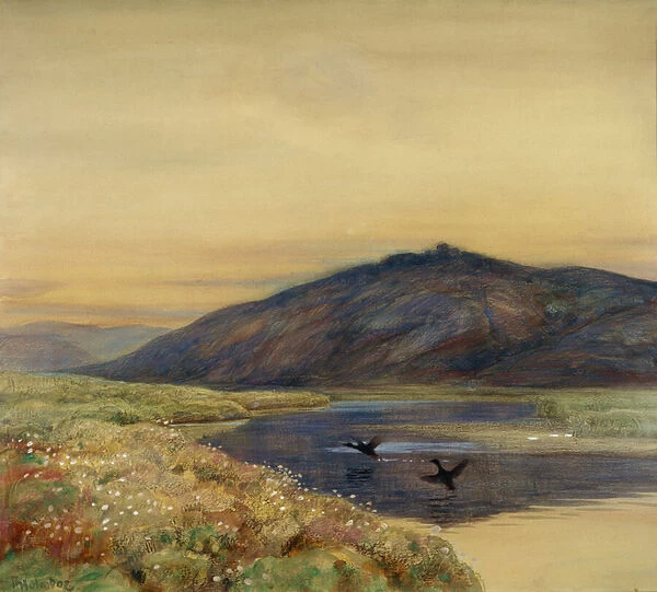 Landscape with birds