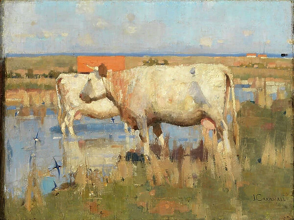 Landscape with Cattle, c. 1883-85 (oil on canvas)