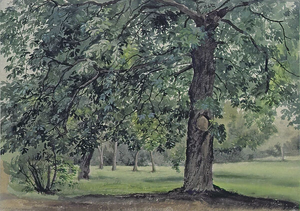 Landscape with Chestnut Tree in the Foreground