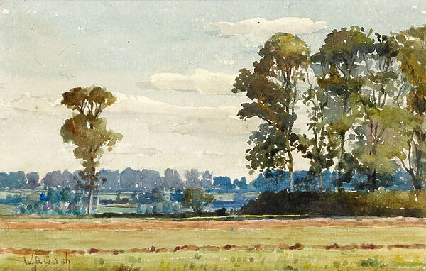 Landscape with Elm Trees (w  /  c)