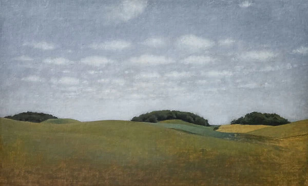 Landscape a Lejre, 1905 (oil on canvas)