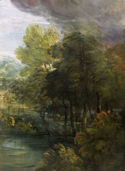 Landscape with a pool (oil on canvas)