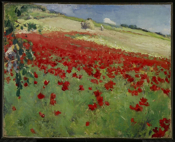 Landscape with Poppies, 1887 (oil on canvas)