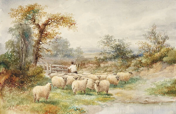 Landscape and Sheep (w  /  c on paper)