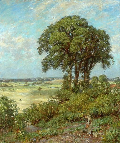 Landscape in Sussex (oil on canvas)