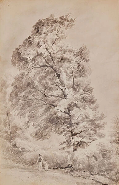 Landscape with trees, 1810-65 (Pencil)