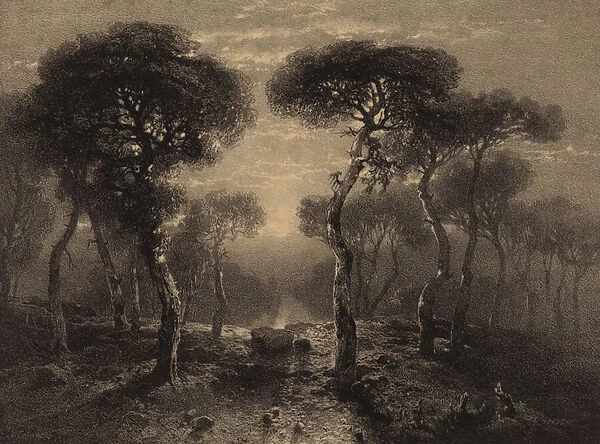 Landscape with trees (litho)