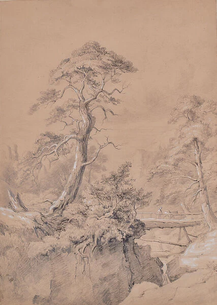 Landscape with wooden bridge, 1810-65 (Pencil)