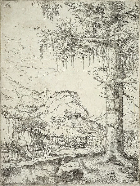 The Large Spruce, c. 1520 (etching)