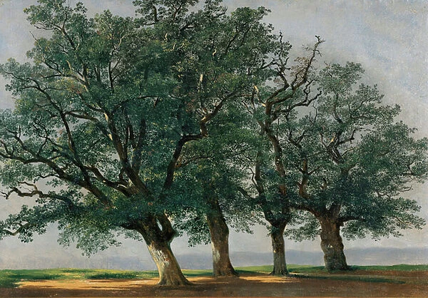 Four Large Trees (oil on canvas)