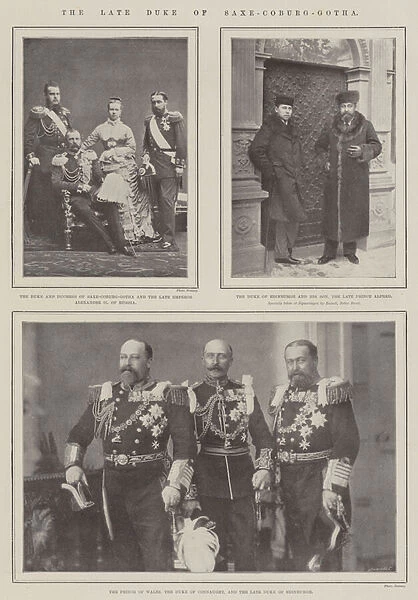 The late Duke of Saxe-Coburg-Gotha (b  /  w photo)