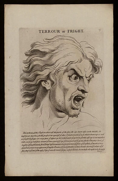 Le Bruns Passions of the Soul: Terrour or Fright (engraving)