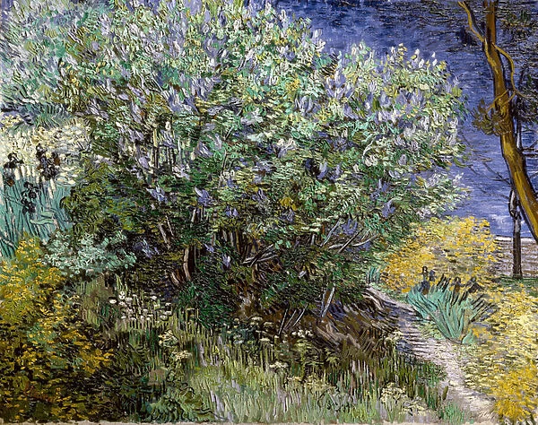 Le buisson de lilas. Vincent VAN GOGH (1853-1890), 1889 Huile sur toile Musee de l