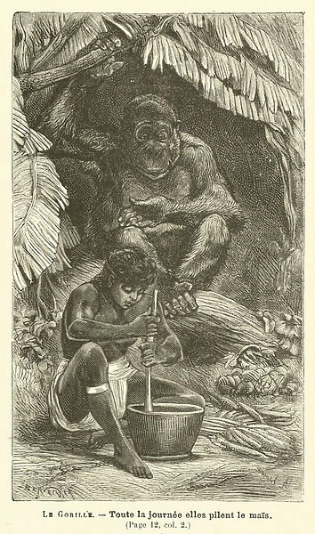 Le Gorille (engraving)