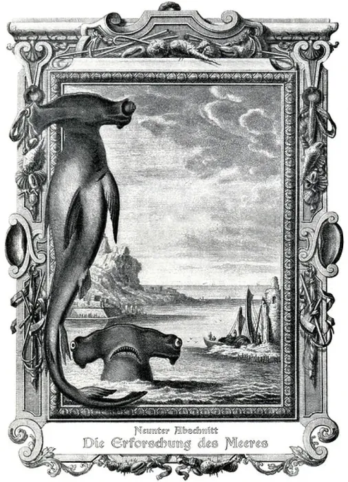 Framed Print : Le leviathan