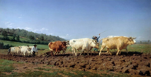 Le plowing nivernais, le sombrage Painting by Marie Rosalie Bonheur dit Rosa Bonheur