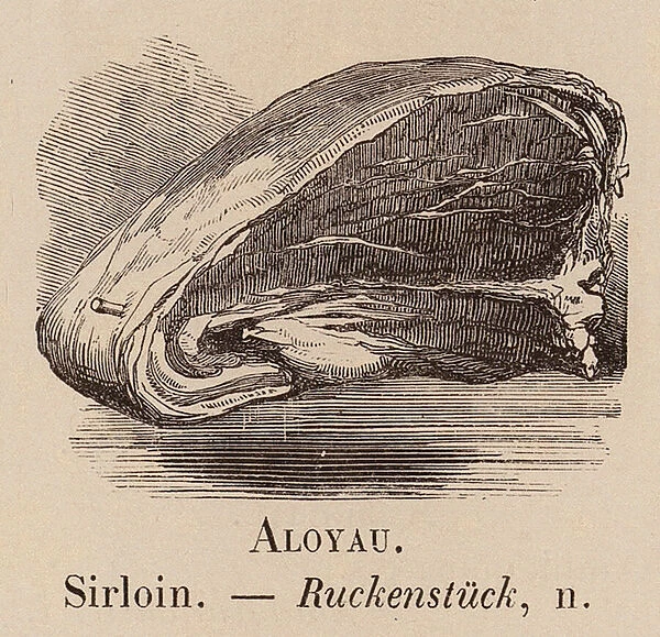 Le Vocabulaire Illustre: Aloyau; Sirloin; Ruckenstuck (engraving)