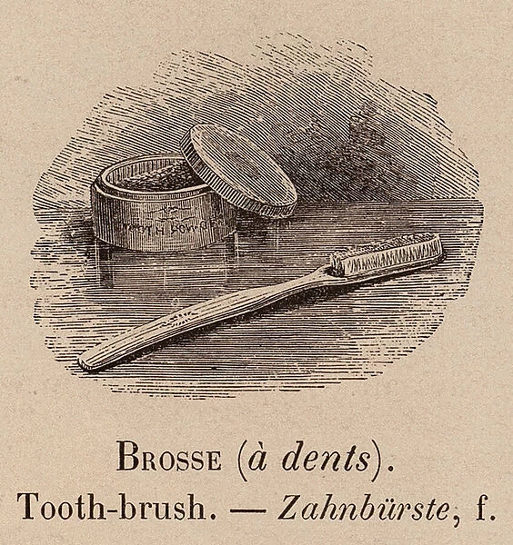 Le Vocabulaire Illustre: Brosse (a dents); Tooth-brush; Zahnburste (engraving)
