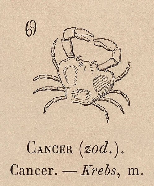 Le Vocabulaire Illustre: Cancer (zod); Krebs (engraving)