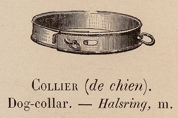 Le Vocabulaire Illustre: Collier (de chien); Dog-collar; Halsring (engraving)