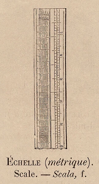 Le Vocabulaire Illustre: Echelle (metrique); Scale; Scala (engraving)