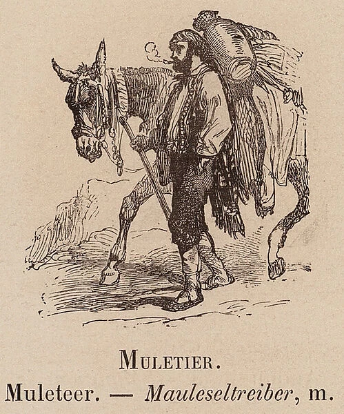 Le Vocabulaire Illustre: Muletier; Muleteer; Mauleseltreiber (engraving)