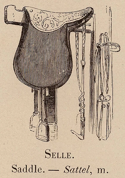 Le Vocabulaire Illustre: Selle; Saddle; Sattel (engraving)