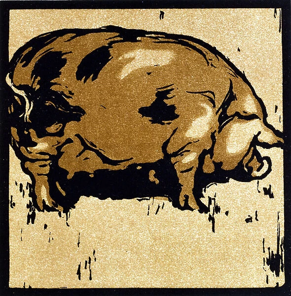 The Learned Pig, from The Square Book of Animals, published by William Heinemann, 1899 (hand-coloured woodcut)