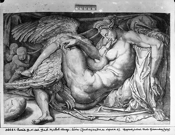Leda, engraved by Jacobus Bos, Boss or Bossius (b. c. 1520) (b  /  w photo)