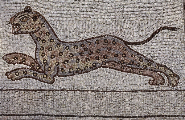 A leopard (mosaic)
