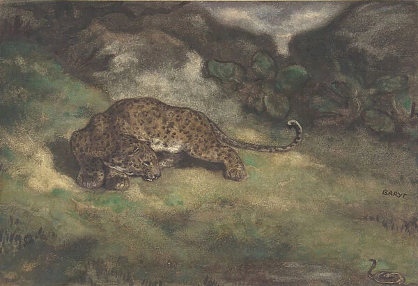 Leopard and Serpent, 1810-75 (w  /  c on laid paper)
