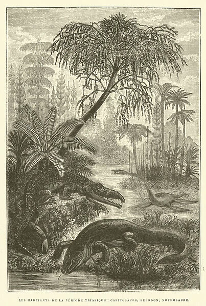 Les habitants de la periode triasique, capitosaure, belodon, nothosaure (engraving)