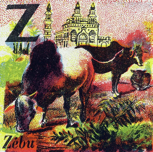 Letter: Z (Zebu). Recreative alphabet. Chromolithography, undated (ca. 1920). Offered by 'La Samaritaine de Nancy'. Small booklet containing a reading method and an illustrated abecedary. 8 pages. Dim: 17,5x13cm. Private Collection