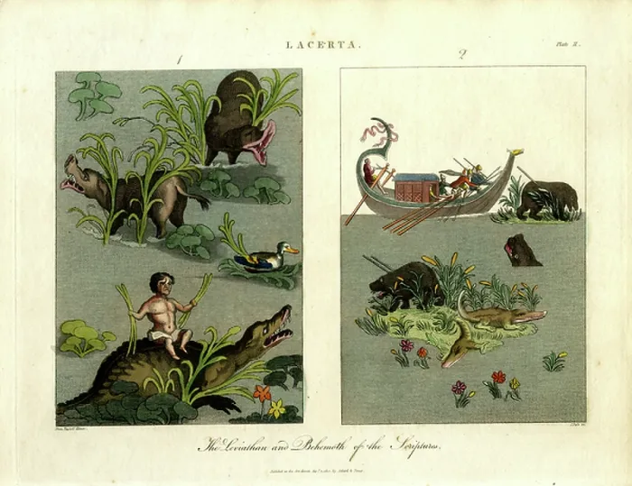 Framed Print : The Leviathan and Behemoth of the Scriptures, 1810 (print)