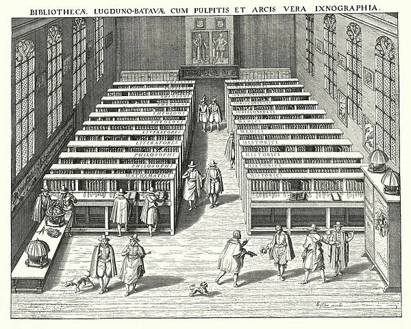Library of the University of Leiden (engraving)