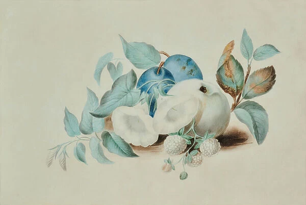 Still life, 19th century (Watercolour)