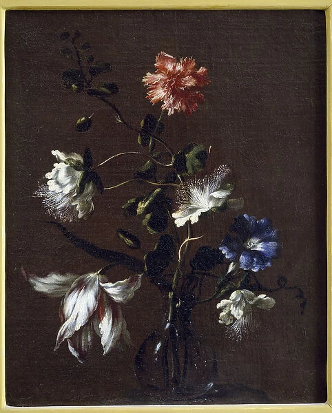 Still life of Caper Flowers, Carnations, Bindweed and Tulips (oil on canvas)