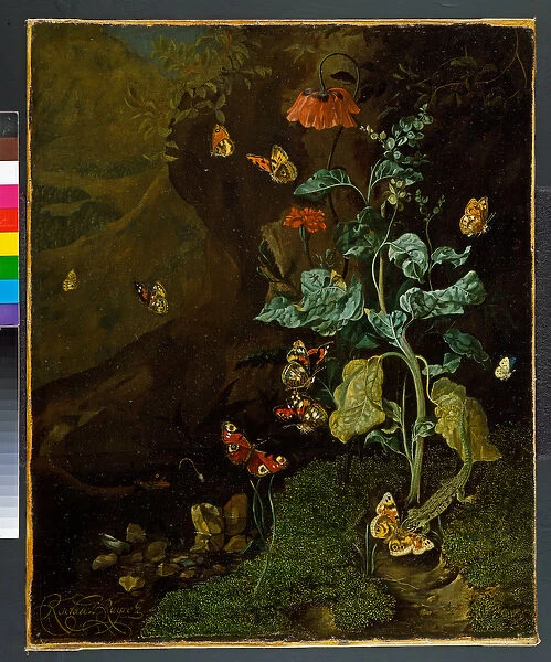 A still life with flowers, butterflies and a lizard in a dell