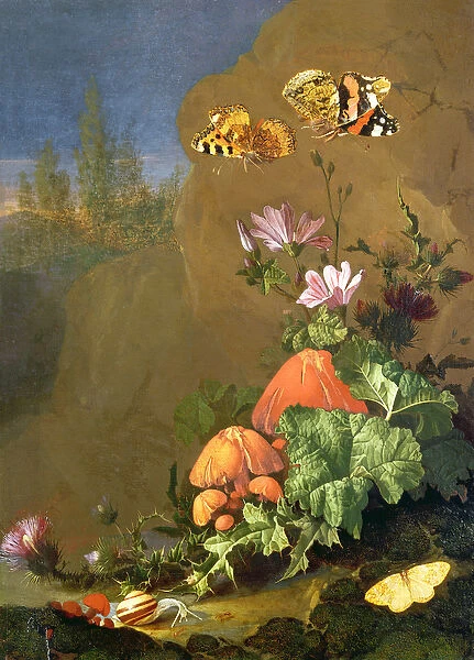 Still Life of Forest Floor with Flowers, Mushrooms and Snails (oil on canvas)