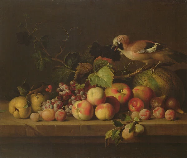 Still Life with Fruit, a Jay and a Parrot (oil on canvas)